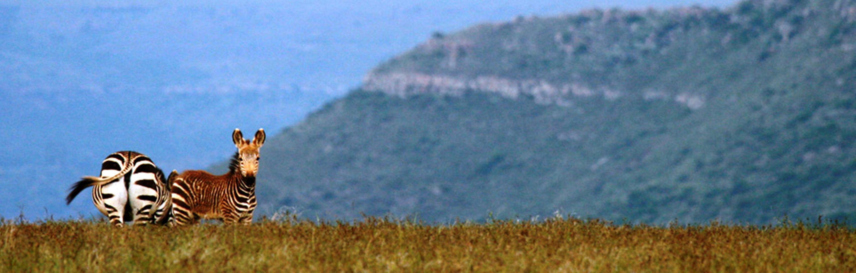 ホテル Mount Camdeboo Graaff-Reinet エクステリア 写真
