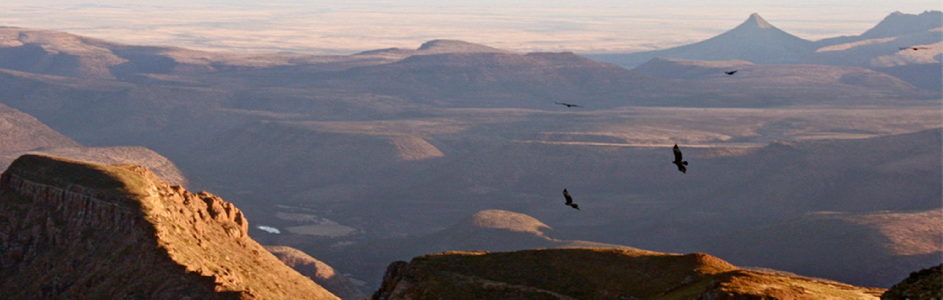 ホテル Mount Camdeboo Graaff-Reinet エクステリア 写真